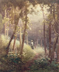 Een Bosglade